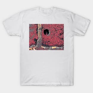 RedStone T-Shirt